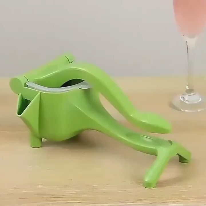 Removable Manual Fruit Juicer &amp; Juice Press